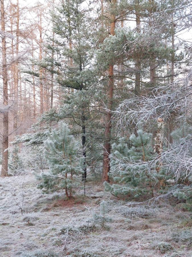 Natuur, Comfort, Rust, Mooie Omgeving Putten Kültér fotó